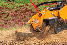 Reliable Stratford, TX Tree Removal Solutions