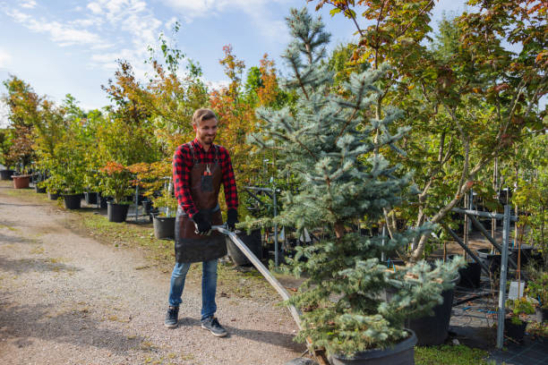 Mulching Services in Stratford, TX